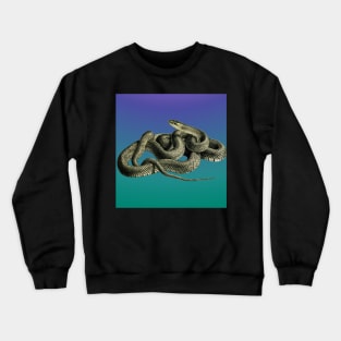 Blue grandient background of a vintage illustration of a snake Crewneck Sweatshirt